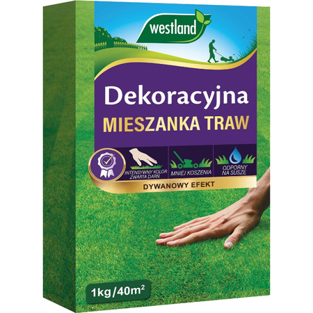 WESTLAND TRAWA DEKORACYJNA 1 KG / 40M