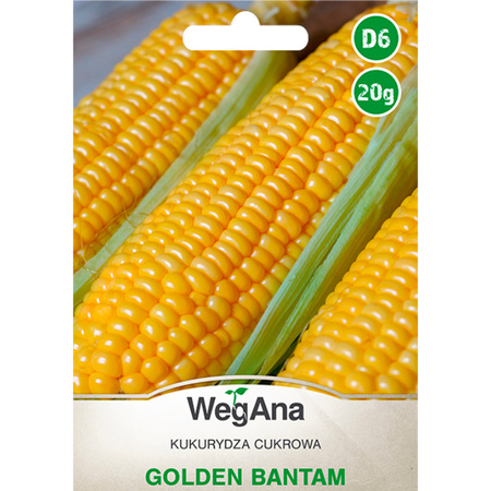 KUKURYDZA CUKR. GOLDEN BANTAM 20G . WEGANA/90