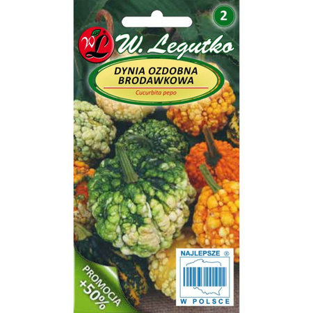 DYNIA OZD. MIESZ. BRODAWKOWA WARTED 1,5G LEGUTKO