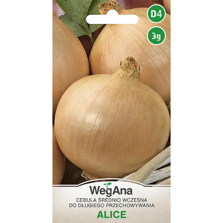 CEBULA ALICE 3G WEGANA /ŚR.WCZESNA/260/.