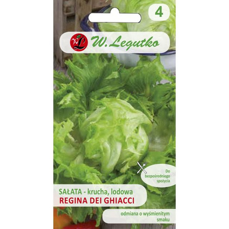 SAŁATA LODOWA REGINA DEI GH. 1G  LEGUTKO/ŚR.PÓŹ
