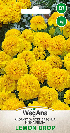 AKSAMITKA ROZP.NISK PEŁNA LEMON DROP 1G WEGANA/400