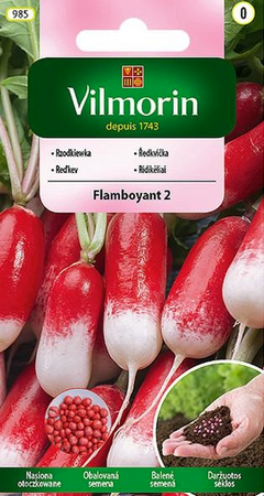 RZODKIEWKA FLAMBOYAT otoczkowane 1,15G VILMORIN