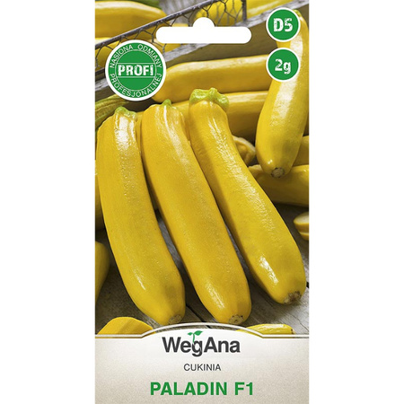 DYNIA ZW.CUKINIA PALADIN (F1) 2G WEGANA /ŻÓŁTA/340
