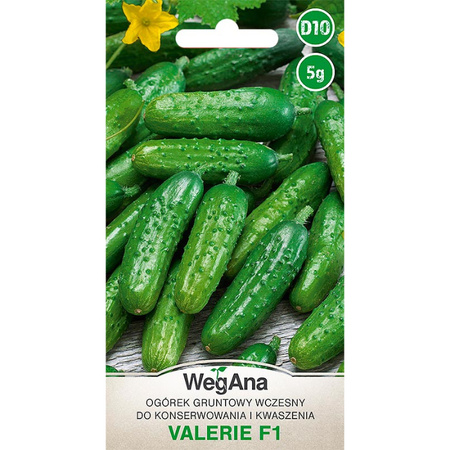 OGÓREK VALERIE F1 5G /KONS/ WEGANA /300/