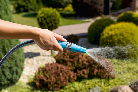 DYSZA ZRASZ. cellfast IDEAL PROSTA karton /30/