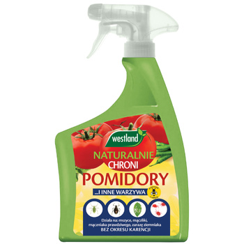 WEST NATURA CHRONI POMIDORY i inne WARZYWA 750ml/8