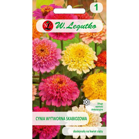 CYNIA SKABIOZOWA MIESZANKA 1G LEGUTKO