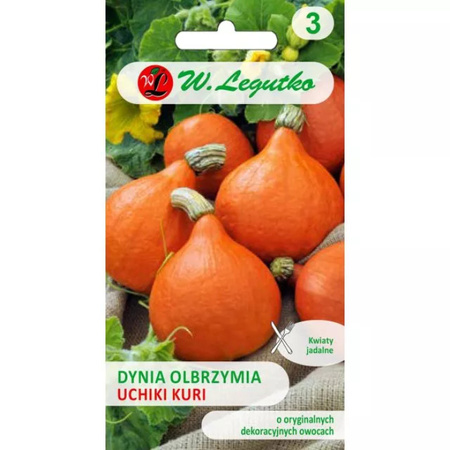 DYNIA OLB. UCHIKI KURI 3G typ. Hokkaido LEGUTKO,