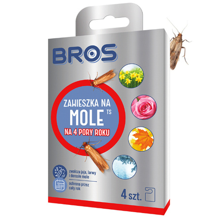 BROS-MO ZAWIESZKA NA MOLE 4 PORY ROKU /14/