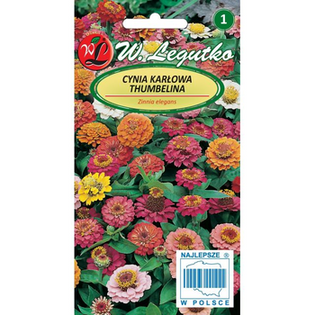 CYNIA KARŁOWA THUMBELINA MIESZANKA 0,5G LEGUTKO