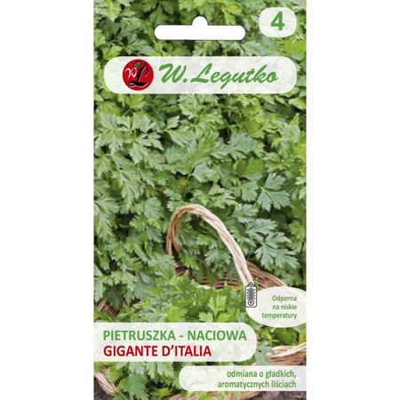 PIETRUSZKA NAC. GIGANTE ITALIA  2G LEGUTKO /GŁAD/