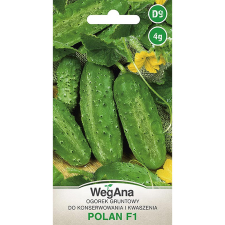 OGÓREK POLAN (M. F1) 4G WEGANA /KONS. ŚR.WCZE/200/