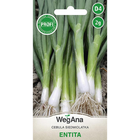 CEBULA SIED. BIAŁA ENTITA 2G WEGANA/300/