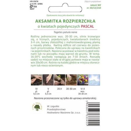 AKSAMITKA ROZP. POJ. PASCAL 1G LEGUTKO