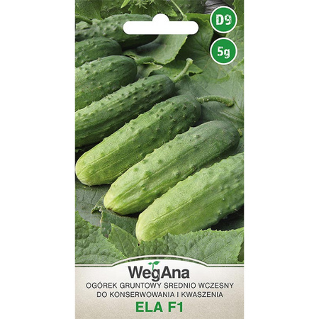 OGÓREK ELA (M. F1) 5G WEGANA /KONS. ŚR.WCZE/300/