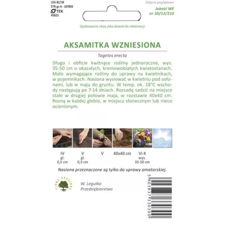 AKSAMITKA WZNIES. KREMOWOBIAŁA 0,3G LEGUTKO