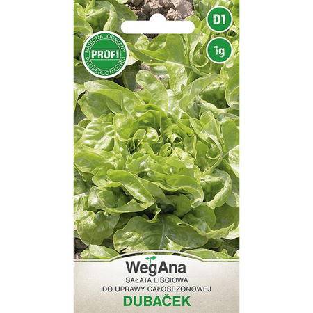 SAŁATA DUBACEK 1G /MASŁ.CAŁOSEZON./ WEGANA /700