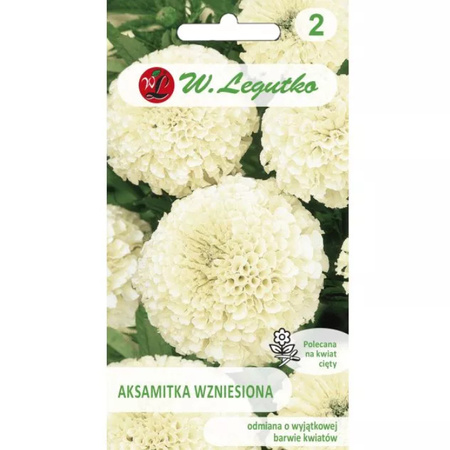 AKSAMITKA WZNIES. KREMOWOBIAŁA 0,3G LEGUTKO