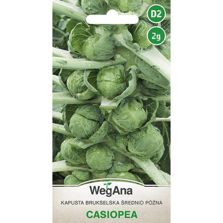 KAPUSTA BRUKSELSKA CASIOPEA 2G WEGANA /ŚR.PÓŹ/400