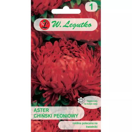 ASTER PEONIOWY CZERWONY 1G LEGUTKO