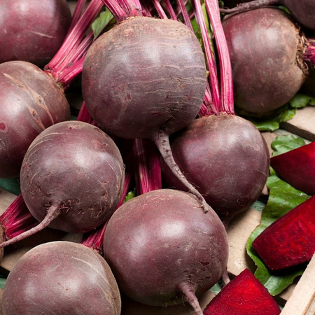 BURAK ĆW. CZERWONA KULA2 10G LEGUTKO /OKRĄGŁY/