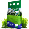 TRAWA  BIOPON DEKORACYJNA 5kg