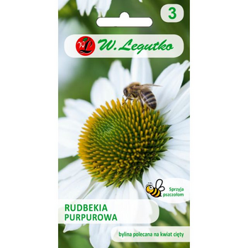 RUDBEKIA PURPUROWA JEŻÓWKA BIAŁA 0,5G LEGUTKO