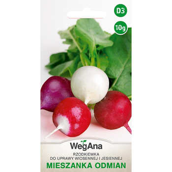 RZODKIEWKA OKRĄGŁA MIX ODMIAN 10G WEGANA/200