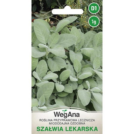 SZAŁWIA LEKARSKA 1G WEGANA