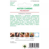 ASTER PEONIOWY CZERWONY 1G LEGUTKO
