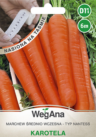 TAŚMA MARCHEW KAROTELA 6M WEGANA /ŚR. WCZ/100