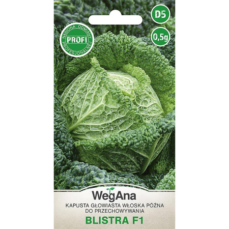 KAPUSTA WŁOSKA BLISTRA 0,5G WEGANA /PÓŹNA/600