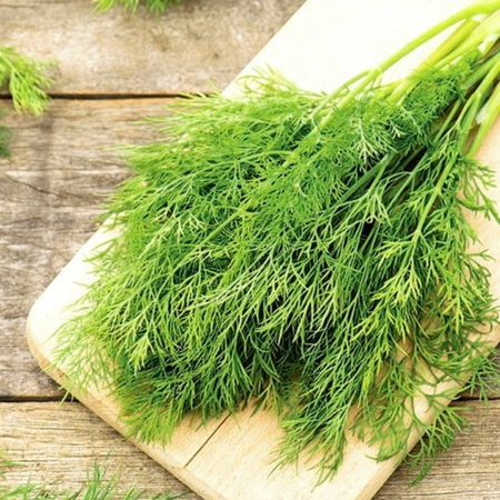 KOPER SZMARAGD 5G LEGUTKO