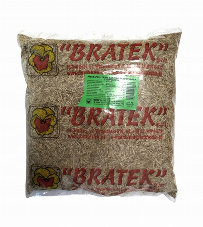 TRAWA  BRATEK  ŁĄKOWA Z CZ.KONICZYNĄ 1KG Z MOTYL
