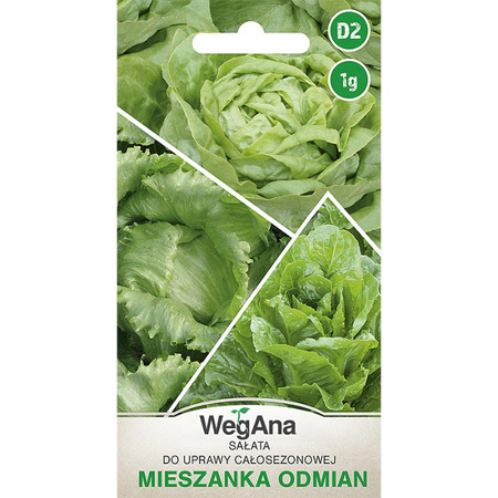 SAŁATA MIESZ.ODMIAN ZIELO.1G WEGANA MASŁ/LOD/RZYM.