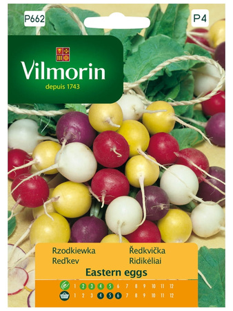 RZODKIEWKA EASTER EGGS MIX KOL.I ODM. 5G VILMORIN
