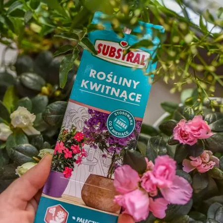 SUBSTRAL S&S PAŁECZKI DO R.KWITNĄCYCH 30szt /20/