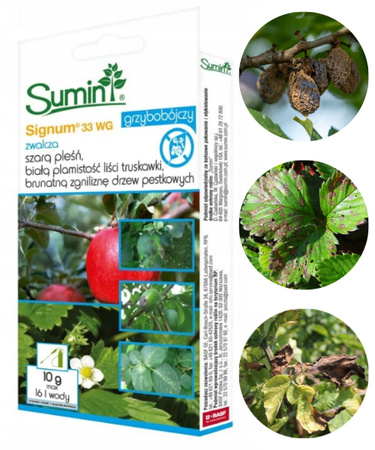 SGR SIGNUM 33WG  10g SUMIN /15/ n/