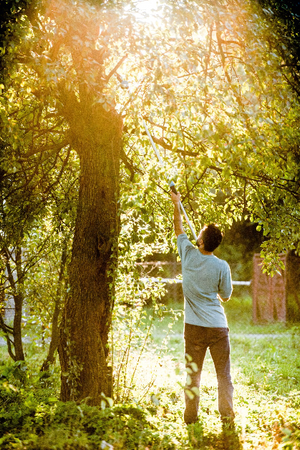 SEKATOR cellfast II-RĘCZ IDEAL z piłą na wysięg /6