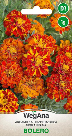 AKSAMITKA ROZP. NISK PEŁNA BOLERO 1G WEGANA /400.