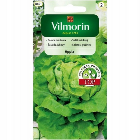 SAŁATA APPIA 0,5G VILMORIN /MASŁ/