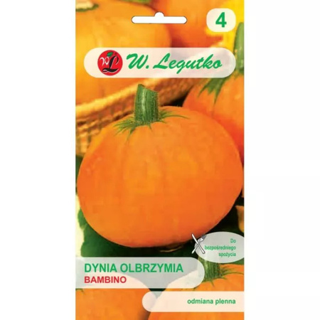 DYNIA OLB. BAMBINO 4G LEGUTKO/POMAR/