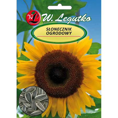 SŁONECZNIK JADALNY 10G LEGUTKO,