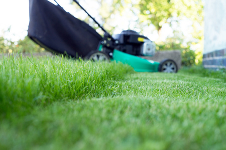 AGRECOL DO TRAW.ZACHWASZCZONYCH  1,2kg /8/