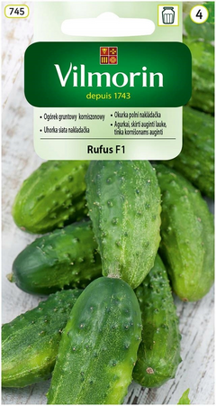 OGÓREK RUFUS 3G VILMORIN /ŚR.WCZES./