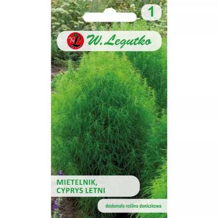 MIETELNIK KOCHIA 1G LEGUTKO