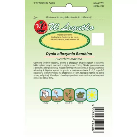 DYNIA OLB. BAMBINO 4G LEGUTKO/POMAR/