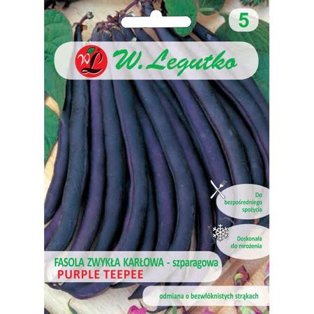FASOLA SZPAR.FIOLET. PURPLE TEEPEE 40G LEGUTKO.