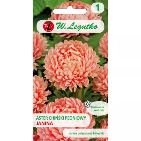 ASTER PEONIOWY ŁOSOSIOWY JANINA  0,5G LEGUTKO
